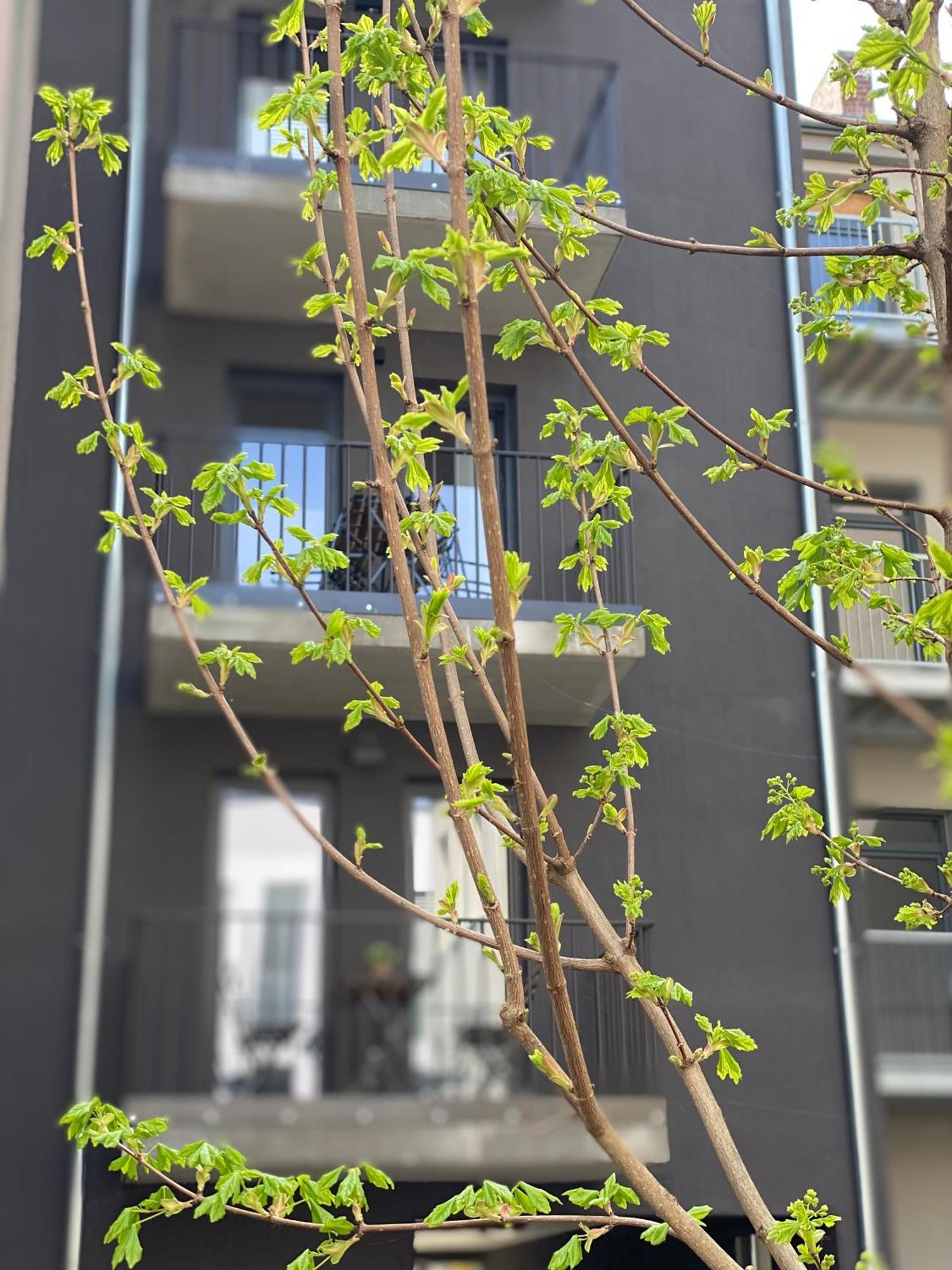 Eiwelhome - Stilvoll, Urban-Ruhig Schlafen, Bahnhofsnah, Balkon Erfurt Exterior photo